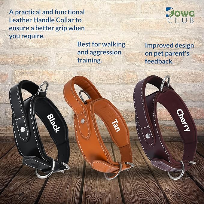 Leather Dog Collar with Handle, 2 Inch Wide Saddle Grade Black Leather Dog Collar for Extra Large Dogs | Heavy Duty, Comfortable, Inner Soft Padded | (XL (Fit Neck Size 22"-26"), Black)