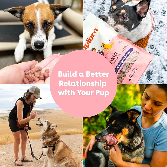 Pupford Freeze Dried Training Treats for Dogs & Puppies, 240+ Four Ingredient Bites (Turkey & Veggies, 5 oz)