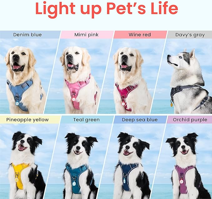 Pawaii Dog Harness for Small Dogs, Dog Harness with Pet ID Tag, No Choke Dog Harness, Adjustable Soft Padded Pet Vest with Easy Control Handle