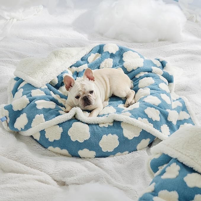 Lesure Waterproof Dog Blanket for Medium Dogs - Washable Double Sided Dog Blankets with Warm Jacquard Shag and Soft Sherpa Fleece, Pet Cat Blanket for Couch Protection, 3D Textured Cloud, Blue