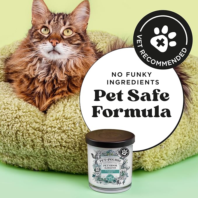 Pet-Pourri Pawsitively Fresh Pet Deodorizer Candle – Pet Safe Plant Based Ingredients & Wax – Vet Approved – Aromatherapy & Air Freshener for Pet Odor – Scented with Pineapple, Jasmine, & Pear
