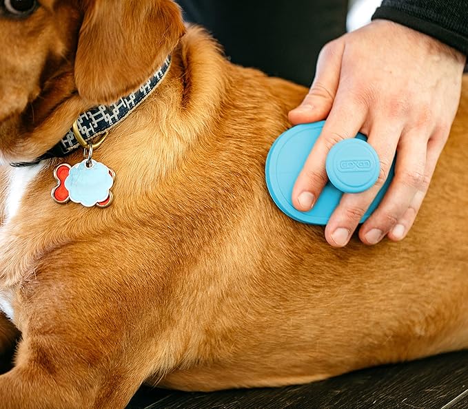Dexas BrushBuster Silicone Dog Grooming Brush, Blue