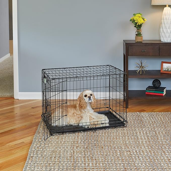 MidWest Homes for Pets Medium Dog Crate | Midwest Life Stages 30' Double Door Folding Metal Dog Breed Crate | Divider Panel,Floor Protecting Feet & Dog Pan | 30.6L x 19.3W x 21.4H Inches