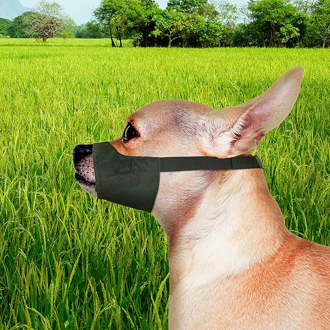 Four Paws Walk-About Quick-Fit Dog Muzzle 0-XX-Small