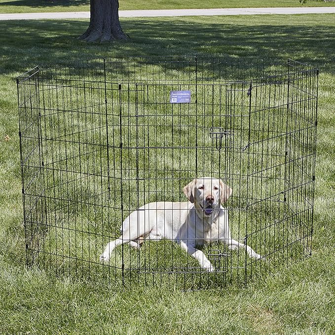 MidWest Homes for Pets Dog Exercise Pen & Playpen, 24" W x 42" H, with Door, Black