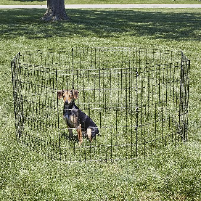 New World Dog Exercise Pen & Playpen, 24" W x 30" H, No Door, Black
