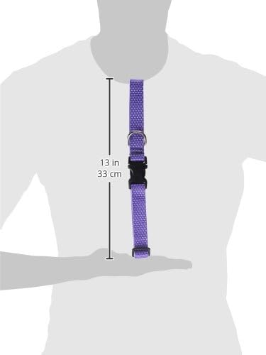 LupinePet Eco 1" Lilac 16-28" Adjustable Collar for Large Dogs
