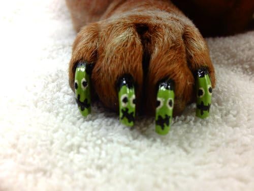 Warren London Pawdicure Dog Nail Polish Pens | Made in USA | Quick Dry, Low Odor, Non-Toxic Dog Accessories | Ideal for Dog Birthday, Dog Costume | 13 Colors | Neon Orange