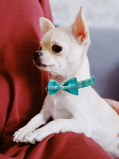 Maca Bates Plaid Blue Dog Collar with Checkered Bow Bowtie for Grid Dogs Bows Tie Adjustable Breakaway Collars Birthday Gift Colar for Small Medium Large XL Girl Boy Male Female Puppy Pets