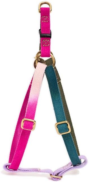 FOUND MY ANIMAL - The Original Jolie Webbing Cotton Cat & Dog Harness (Small) - Hand Dyed & Crafted Dog Harness - Adjustable, Pet Harness with Solid Brass Rings & Buckle Dog Training Harness