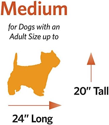 MidWest Homes for Pets Newly Enhanced Single & Double Door iCrate Dog Crate, Includes Leak-Proof Pan, Floor Protecting Feet, Divider Panel & New Patented Features