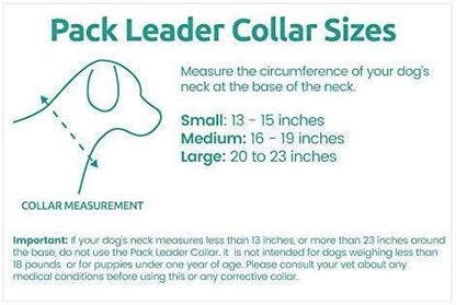 Cesar Millan Pack Leader Collar™ - Training Collar of The Dog Whisperer (Large, Blue)