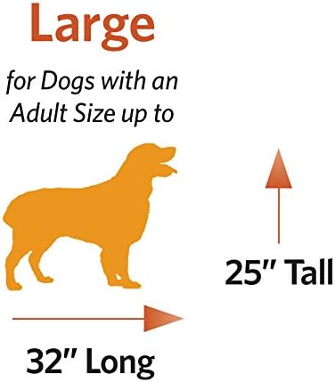 MidWest Homes for Pets Newly Enhanced Single & Double Door iCrate Dog Crate, Includes Leak-Proof Pan, Floor Protecting Feet, Divider Panel & New Patented Features