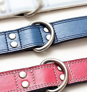 Genuine Leather Dog Collars with Stainless Steel Buckle and Double D Rings– Unbreakable! (9"-12", Tan)