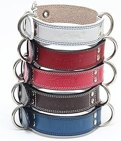 Genuine Leather Dog Collars with Stainless Steel Buckle and Double D Rings– Unbreakable! (9"-12", Tan)