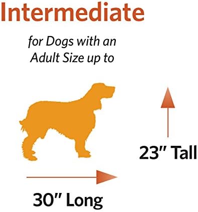 MidWest Homes for Pets Dog Crate Life Stages 36' Double Door Folding Metal Dog Crate | Divider Panel, Floor Protecting Feet, Leak-Proof Dog Pan | 36L x 23W x 25H Inches, Intermediate Dog Breed
