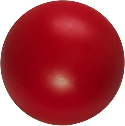Doggie Dooley Virtually Indestructible Best Ball for Dogs, 8 inch (Colors Vary) (1008),Medium