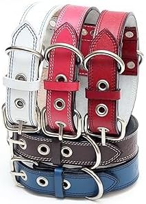 Genuine Leather Dog Collars with Stainless Steel Buckle and Double D Rings– Unbreakable! (9"-12", Tan)