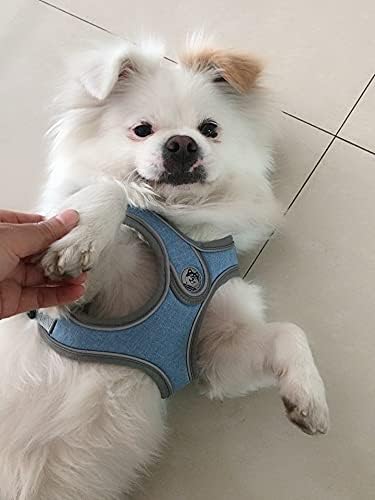 Step-in Dog Harness, Adjustable Reflective Small Dog Harness and Leash Set, Soft Air Mesh Vest Kit for Small Medium Breed Puppy and Cats