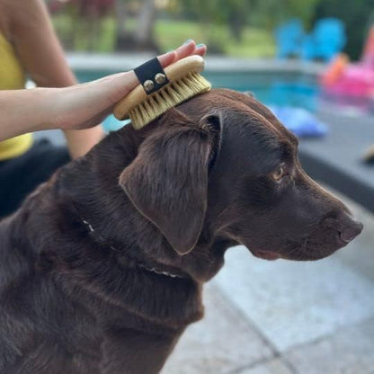 Premium Bamboo Palm Brush for Dogs and Cats Grooming - Brush for Dogs and Cats with Short Hair - Massage Dogs and Cats Brush