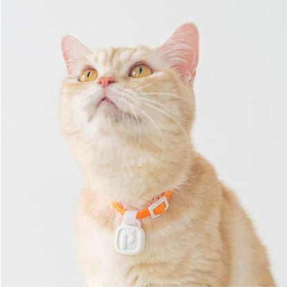 LavvieTAG with 2 Straps Charger Set | Smartwatch for Cat ID Tag Light (0.01lbs) Activity Analysis Heath Care App Integration Monitor Fitness Tracker(Charger Included)