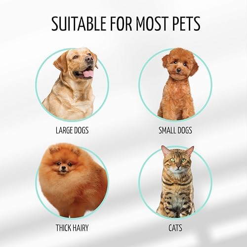 Dog Brush for Shedding Long and Short Hair, Plastic Soft Slicker for Grooming Haired Dogs and Cats, Flexible Cushion and Non-Slip Grip, Rectangular, 4,13 x 6,29 inch, Purple