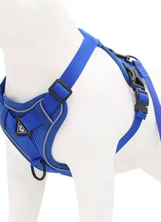 Harness for Dogs & Cats - S. M. L. XL, Nylon, Adjustable Buckle Pet Vest with Matching Leash (Blue, Medium)