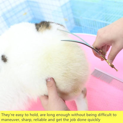 HASHIMOTO Curved Scissors for Large Dog Grooming,8.0 inches, Designed for Professional Groomers or Family DIY Use.