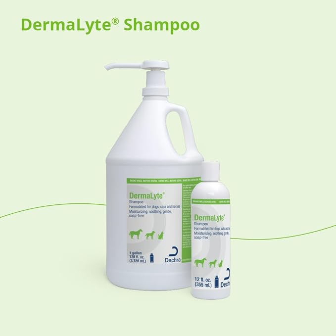 Shampoo, 12 Ounce