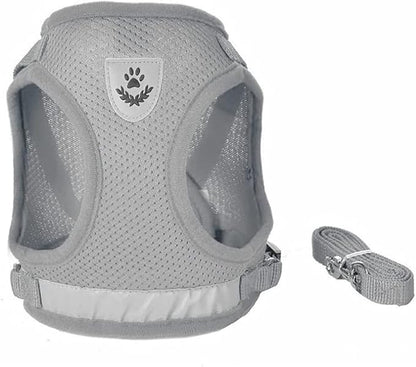 FEimaX Dog Harness and Leash Set for Walking, Soft Mesh Adjustable Easy Control Lightweight Cat Vest Harnesses with Reflective Strips, Escape Proof Small Dogs Cats Vests (Grey, Medium)