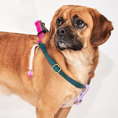 FOUND MY ANIMAL - The Original Jolie Webbing Cotton Cat & Dog Harness (Small) - Hand Dyed & Crafted Dog Harness - Adjustable, Pet Harness with Solid Brass Rings & Buckle Dog Training Harness