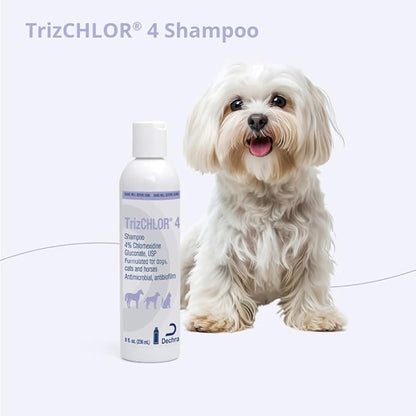 TrizCLHOR 4 Shampoo, 8 Ounce