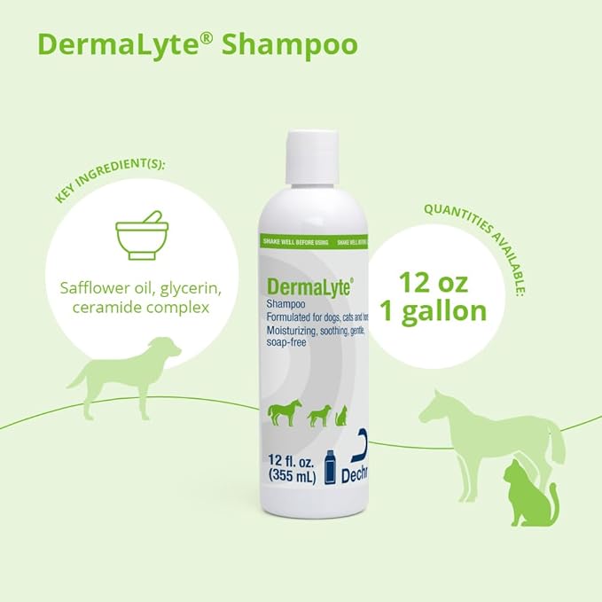 Shampoo, 12 Ounce