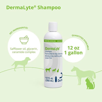 Shampoo, 12 Ounce
