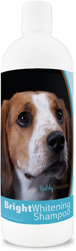 Healthy Breeds American English Coonhound Bright Whitening Shampoo - pH Balanced - Enhance Color & Shine While Moisturizing & Conditioning - Pina Colada Scent - 12 oz
