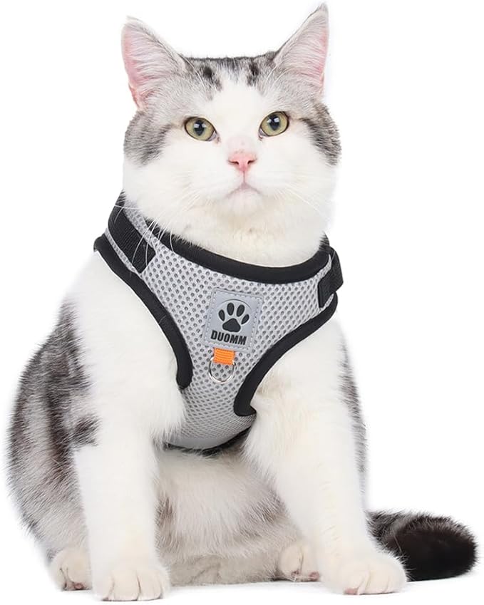 leconpet Dog Harness and Leash Set, Reflective Step in Harness Vest Set-Hook and Loop Fasteners and Buckle Design Combined with Double D Ring on The Back and Chest Ring (Grey, XS)