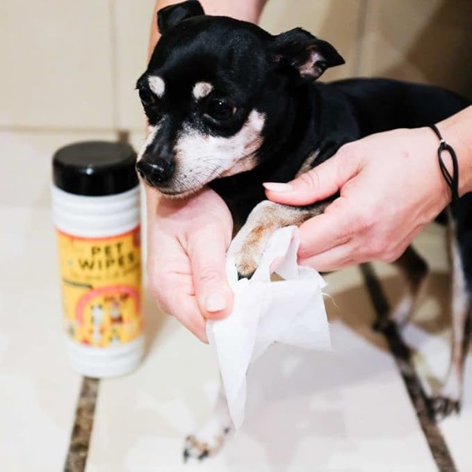 Pet Wipes for Pets Cleansing, Wipes for Dogs & Puppies-Mild & Soothing Dog Grooming Wipes, Safe to Use from Head to Toes, Strong but Gentle for Quick Cleaning, 50 Count (Pack of 1)