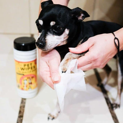 Pet Wipes for Pets Cleansing, Wipes for Dogs & Puppies-Mild & Soothing Dog Grooming Wipes, Safe to Use from Head to Toes, Strong but Gentle for Quick Cleaning, 50 Count (Pack of 1)