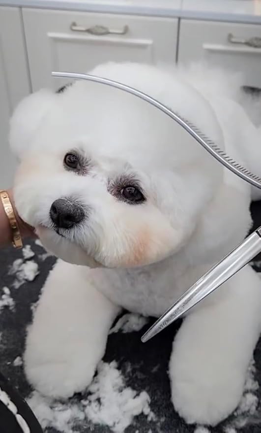 S-Curved Dog Grooming Comb, Dog Combs for Grooming Matting, Doodle Brush, Dematting Comb for Dogs, Dog Grooming Tools, Pet Comb, Metal Dog Grooming Comb, Dog Detangler Brush, Dog Dematting