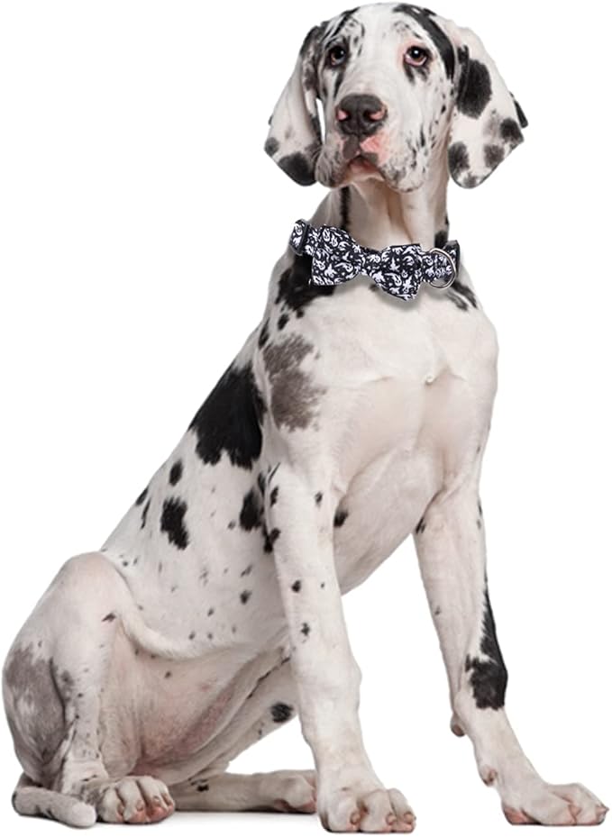Halloween Dog Collar with Removable Cute Bow Tie Adjustable Pet Collars Medium