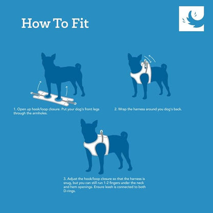 RC Pets Step in Cirque Soft Walking Dog Harness, Large, Tennis