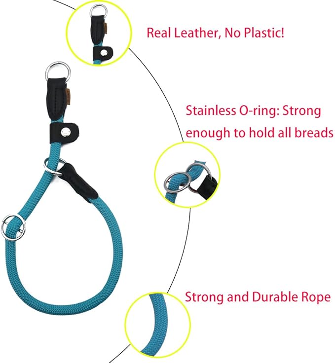 Braided Rope Collar, Training Dog Collar, Round Martingale Collar, Slip Collar with Adjustable Stopper and Slidable Stop Ring - Ideal for Small Dogs (S(1/4") - 14" Long, Light Blue)