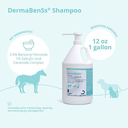 Shampoo for Dogs, Cats and Horses, Gallon