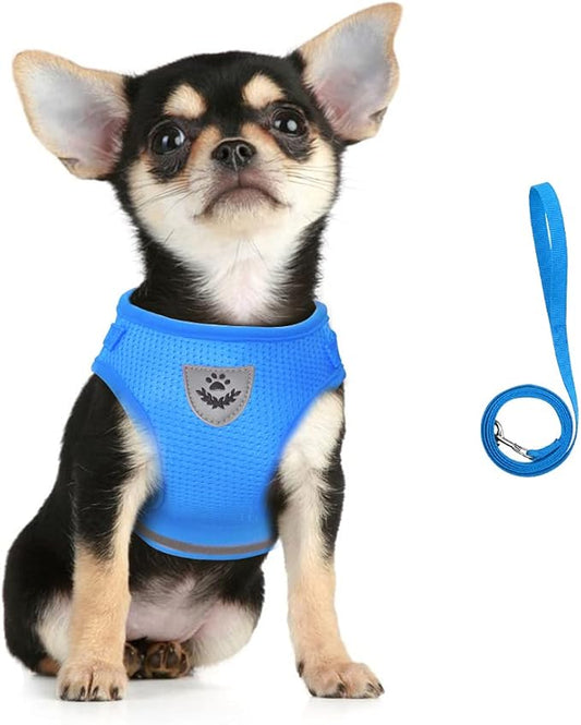 FEimaX Dog Harness and Leash Set for Walking, Soft Mesh Adjustable Easy Control Lightweight Cat Vest Harnesses with Reflective Strips, Escape Proof Small Dogs Cats Vests (Azure, Medium)