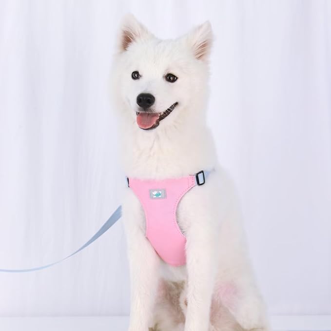 Beirui Small Dog Harness and Leash Set, No Pull Step-in Harness for Puppy, Lightweight Air Mesh Pet Harness for Small Dogs (Pink XS)