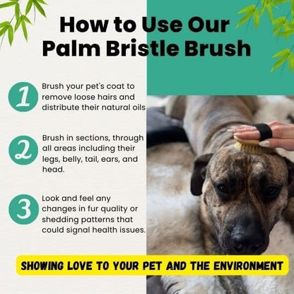 Premium Bamboo Palm Brush for Dogs and Cats Grooming - Brush for Dogs and Cats with Short Hair - Massage Dogs and Cats Brush