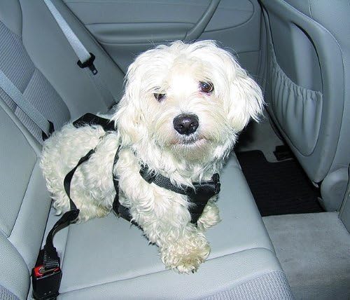 T-Pet Nylon Dog Car Safety Harness Large