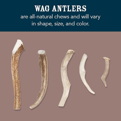 Amazon Brand - Wag Deer Antler Chew for Dogs, Naturally Shed, Whole, Medium 6-7.5 inches, Best for Dogs 15-30 lbs, 1.80 Ounce (Pack of 4)
