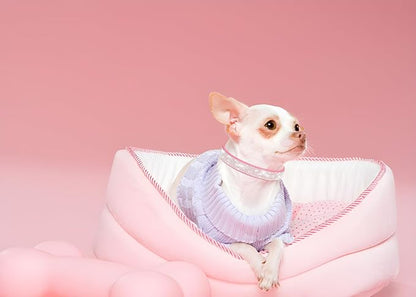 Small Dog Collars for Female Dogs, Rhinestone Dog Collar with Diamond Crystal Glitter Bling Female Cat Collars for Puppy XXS XS Small Dogs and Kitten, Hot Pink, S