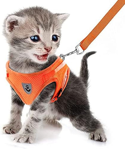 FEimaX Dog Harness and Leash Set for Walking, Soft Mesh Adjustable Easy Control Lightweight Cat Vest Harnesses with Reflective Strips, Escape Proof Small Dogs Cats Vests